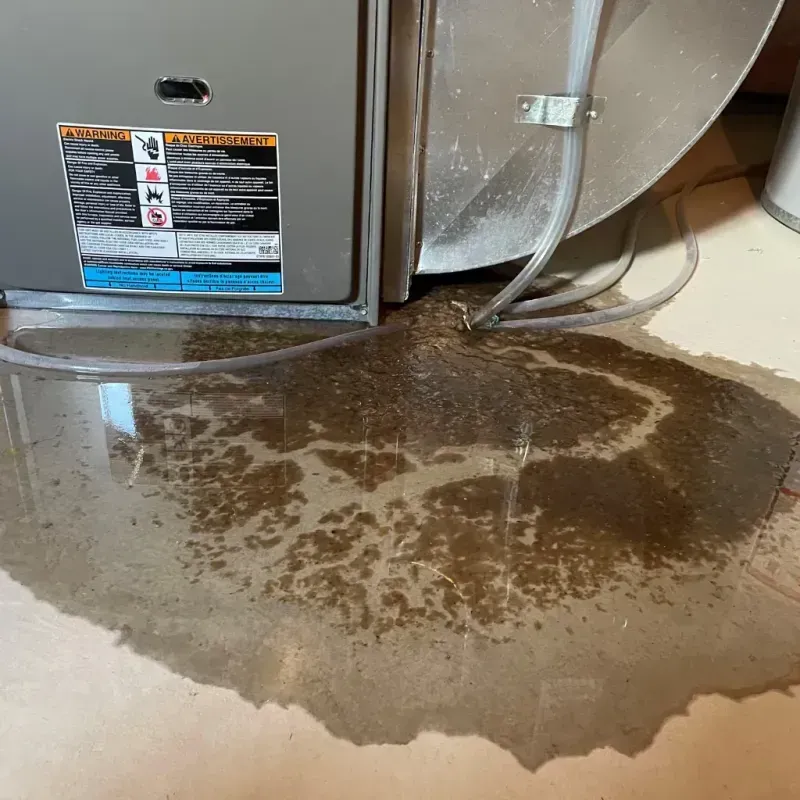 Appliance Leak Cleanup in Manchester, PA